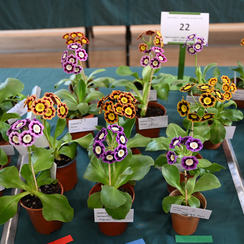 22-group