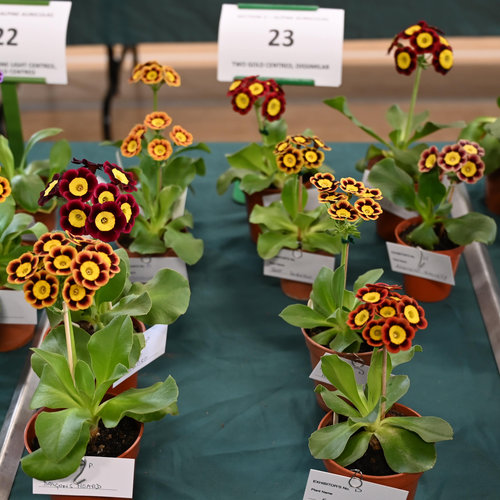 23-group2