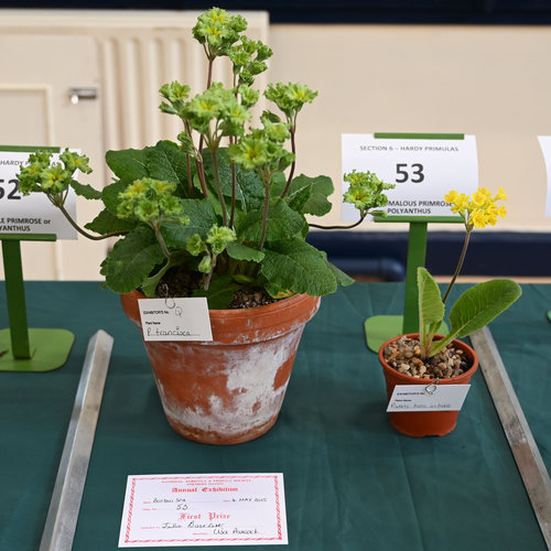 53-group