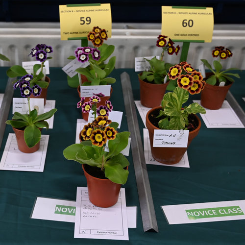 59-60-group