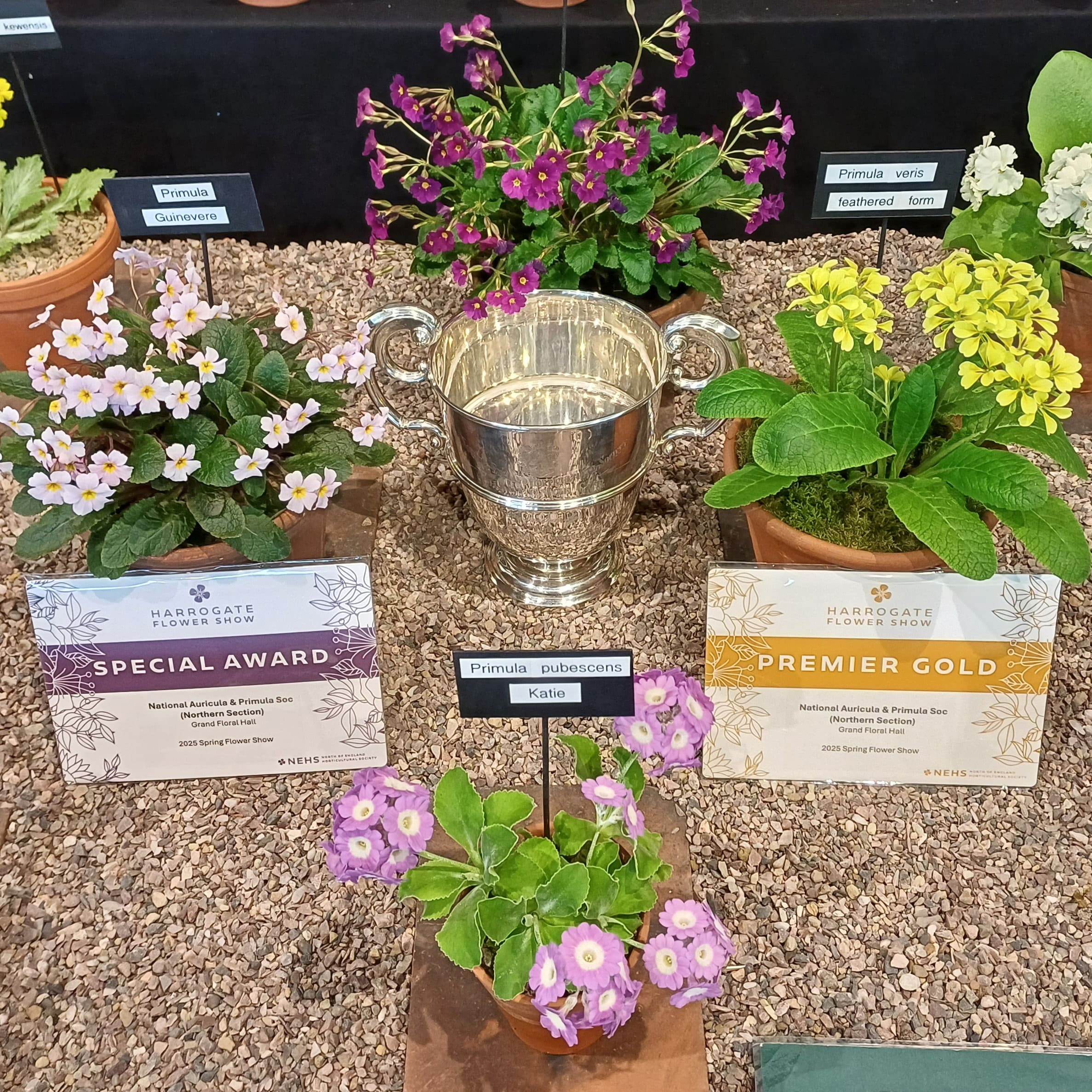 Award Cards