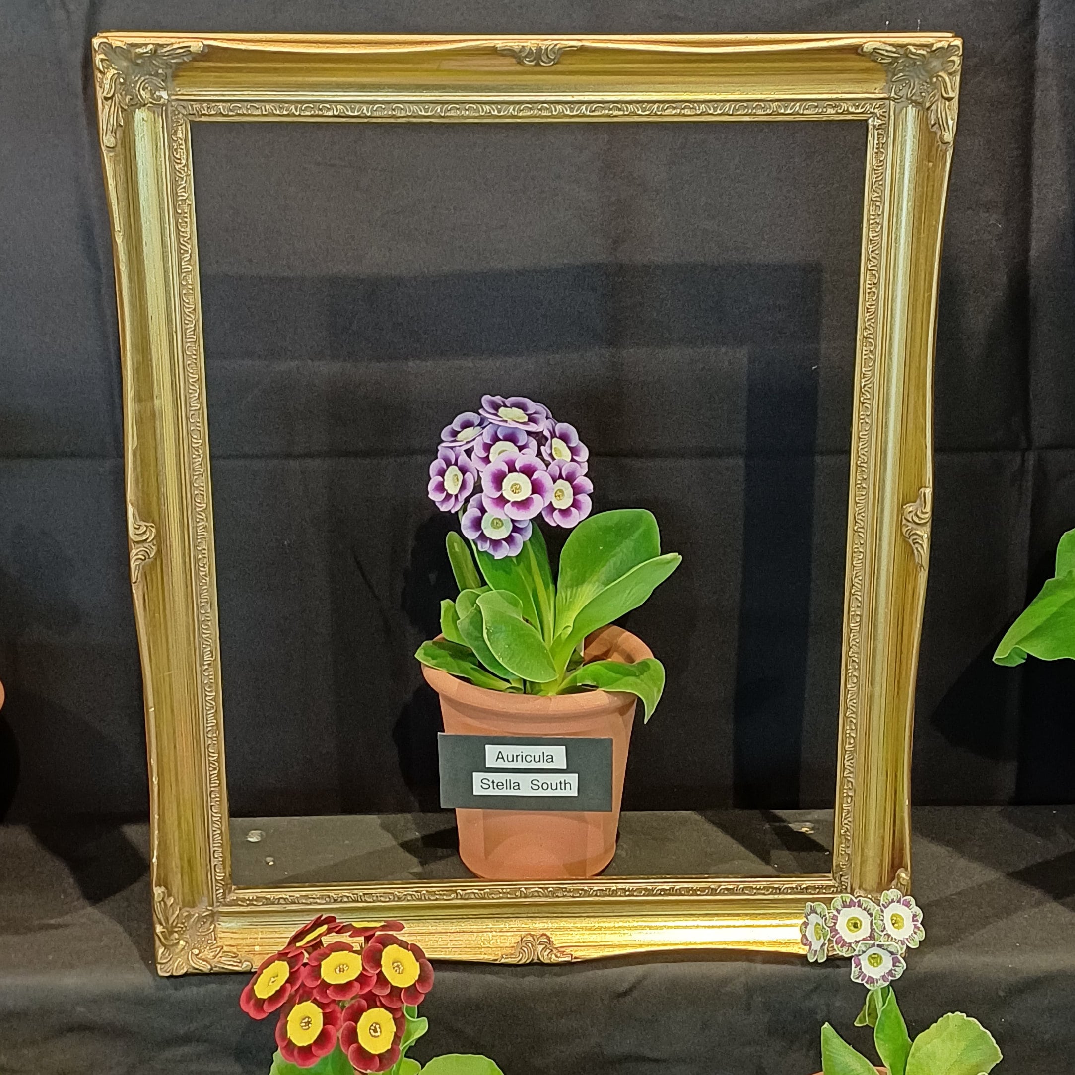 frame 2