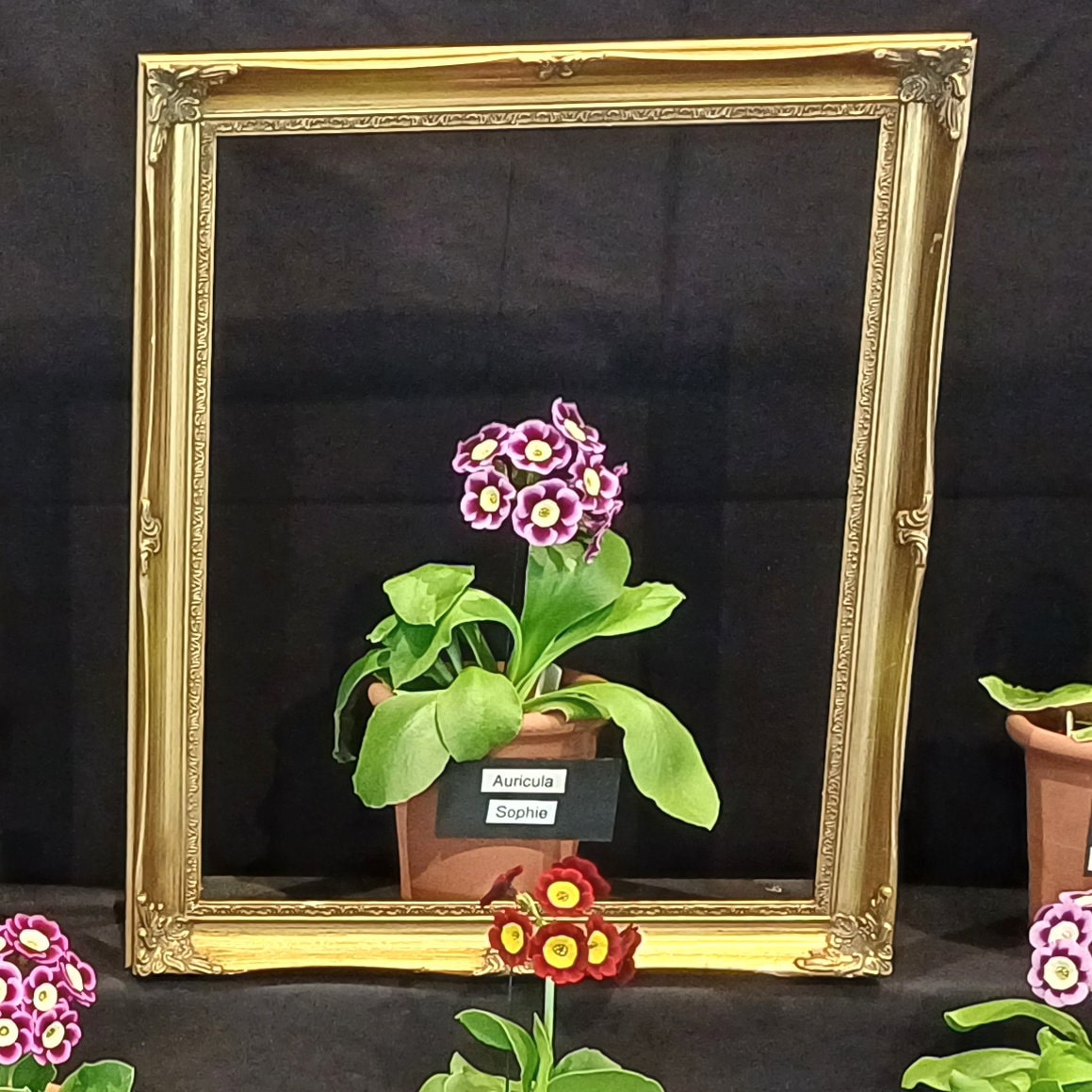 frame 3