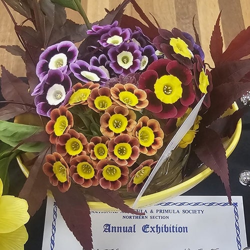 38-table-dec